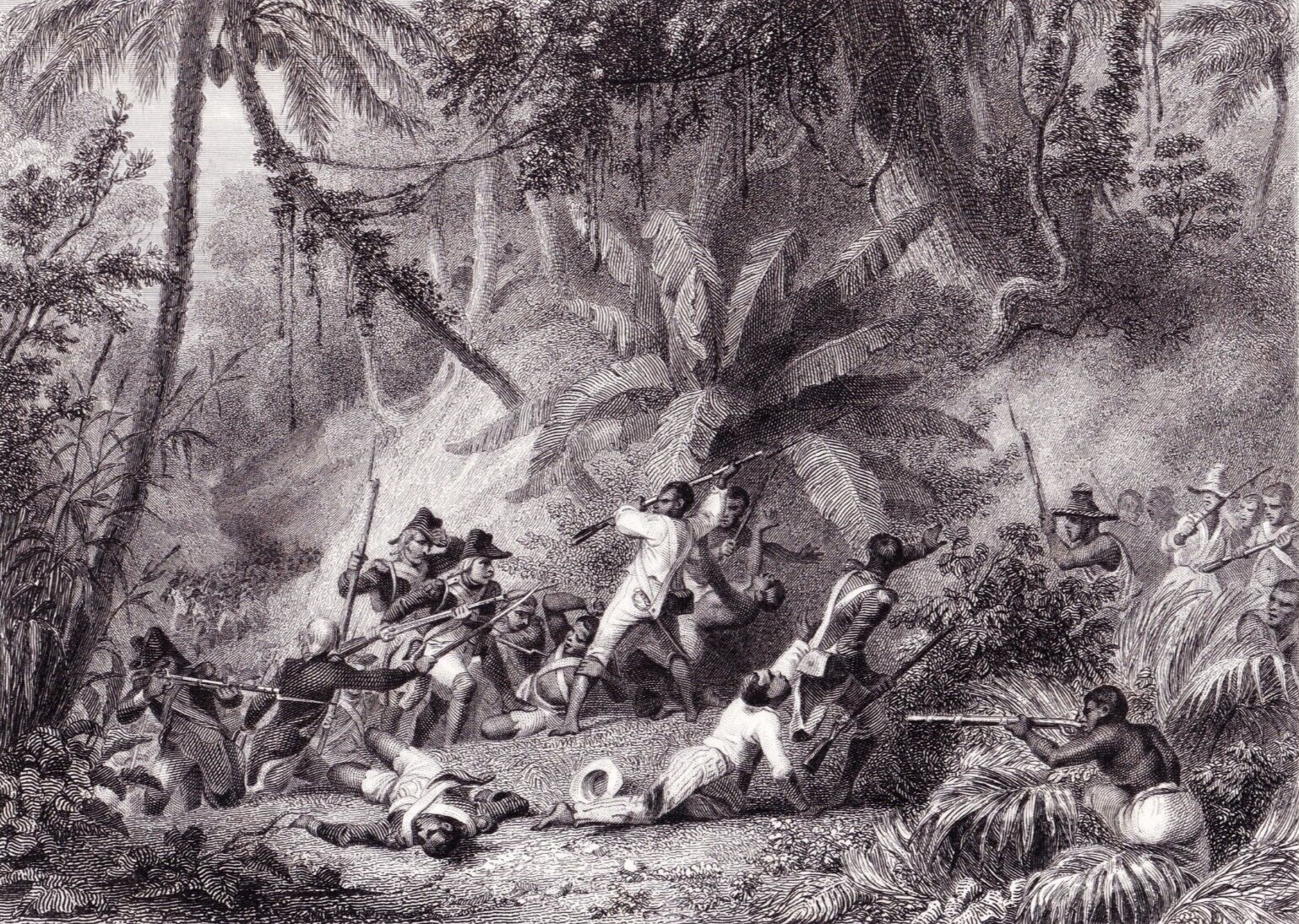 Prise_de_la_Ravine-à-Couleuvres